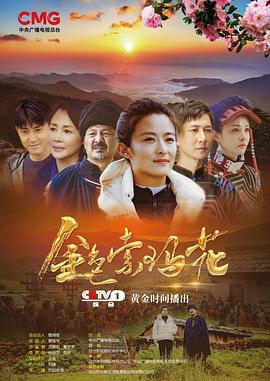 金色索玛花(2020)第20集(大结局)