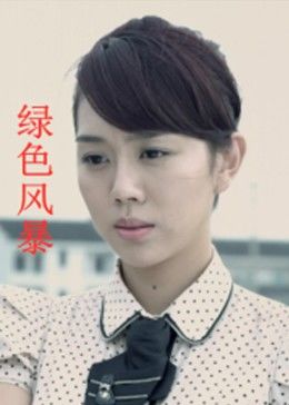 绿色风暴(大结局)