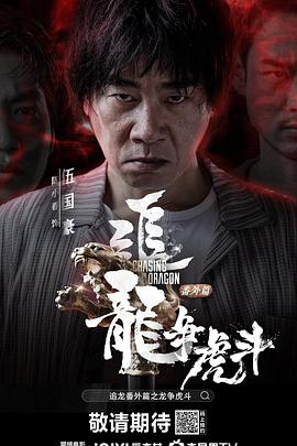 追龙番外篇之龙争虎斗HD粤语(大结局)
