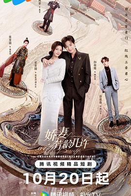 娇妻芳龄几许第17集