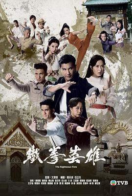 铁拳英雄粤语第29集-第30集(大结局)