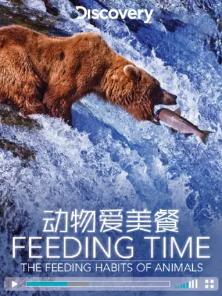动物爱美餐第01集
