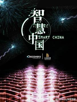 智慧中国第一季第03集(大结局)