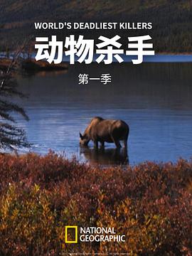 动物杀手第一季第01集