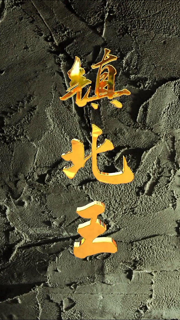 镇北王第08集