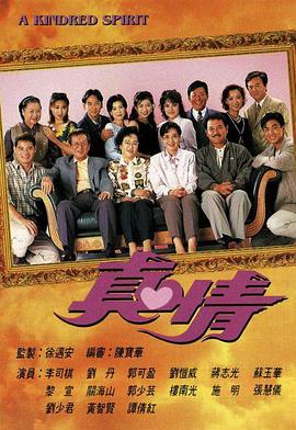 真情国语第221集