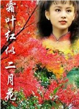 霜叶红似二月花第13集