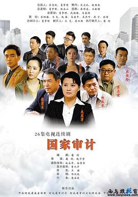 国家审计第20集