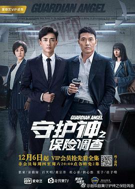 守护神之保险调查粤语第27集