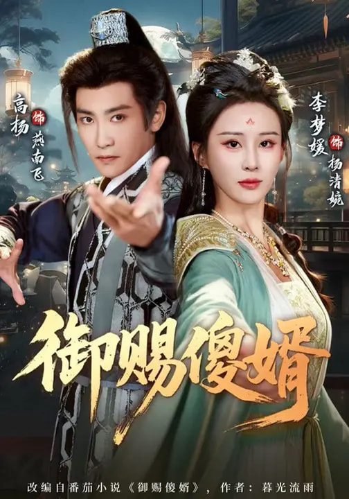 御赐傻婿(全集)