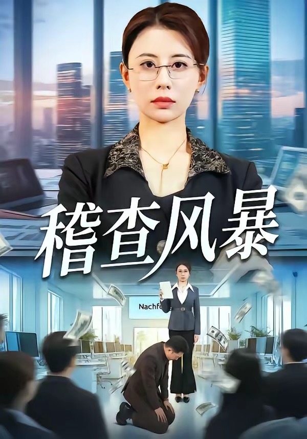 稽查风暴(全集)