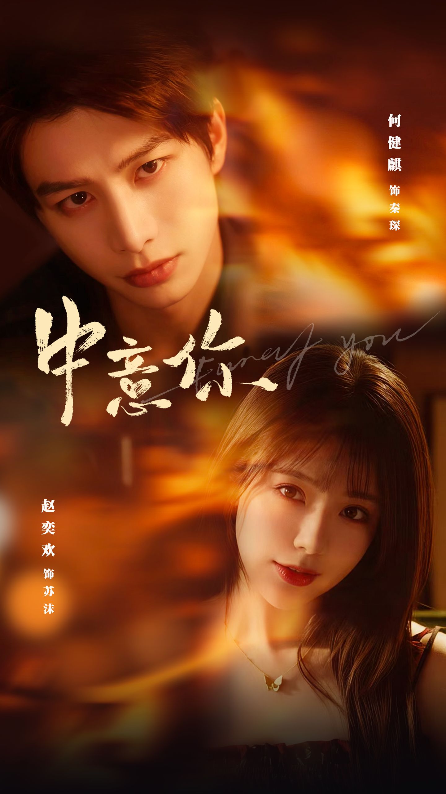 中意你(全集)
