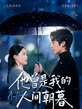 他曾是我的人间朝暮(全集)